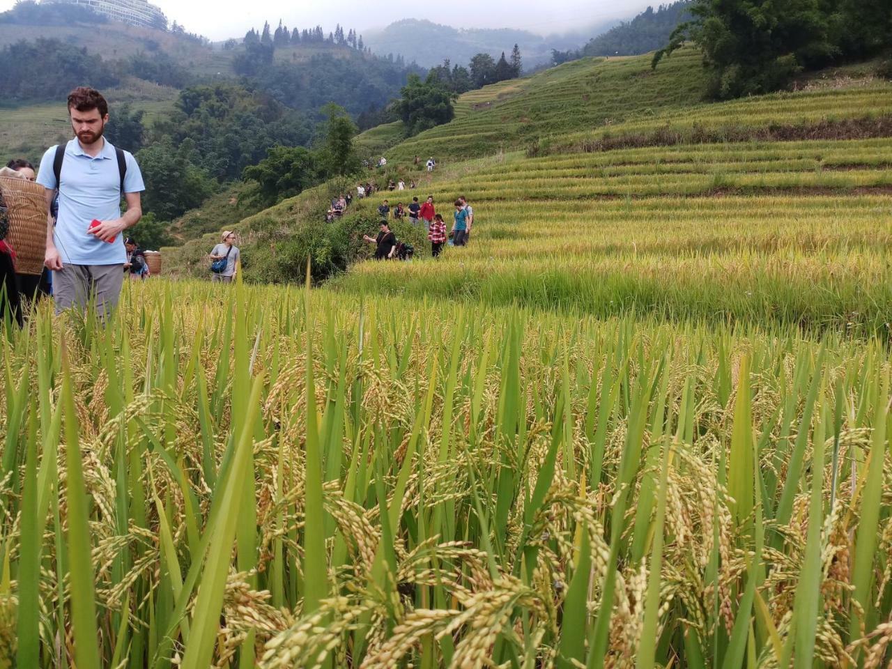 Tuongmai Home & Trekking Tour サパ エクステリア 写真
