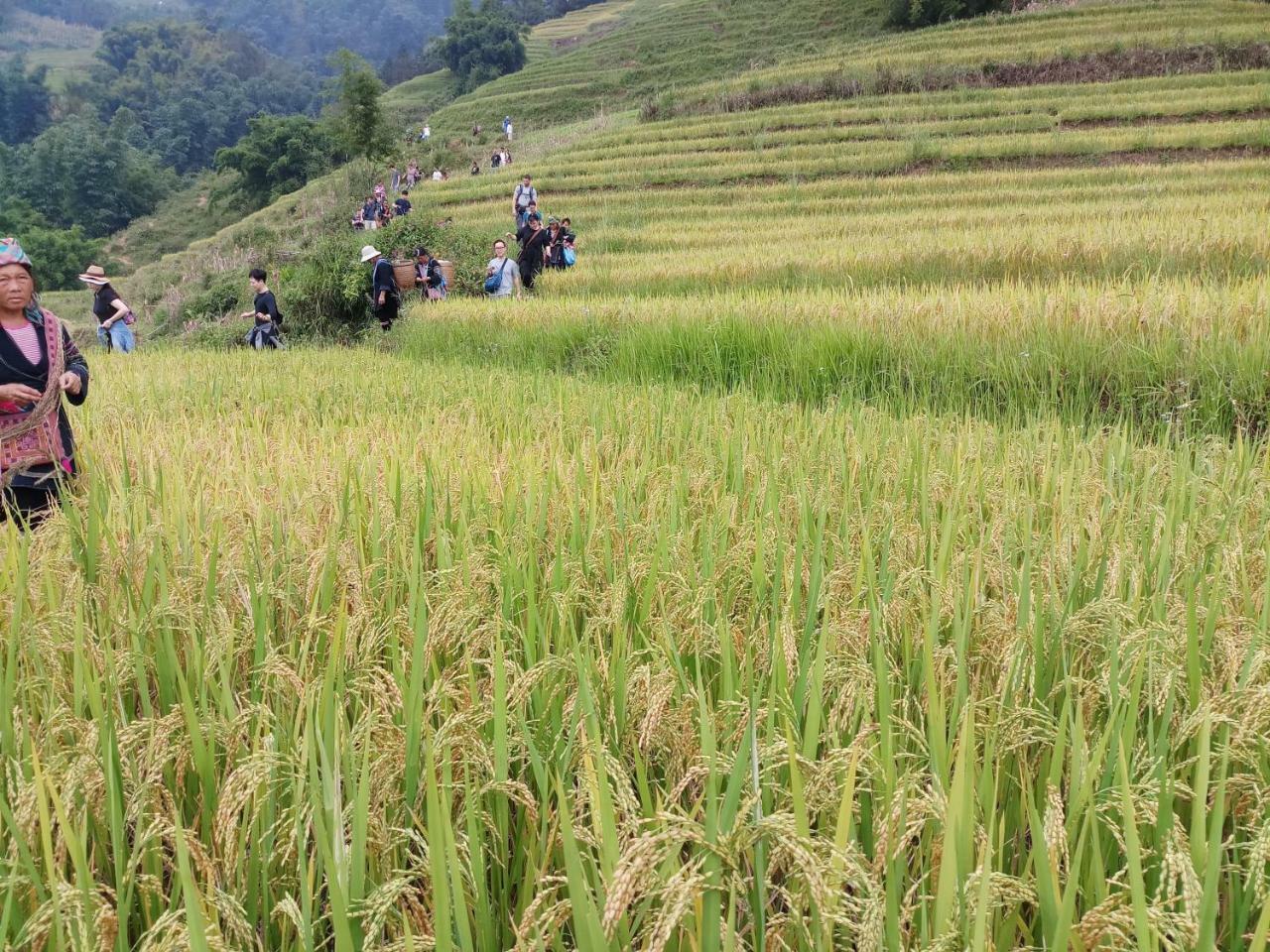 Tuongmai Home & Trekking Tour サパ エクステリア 写真
